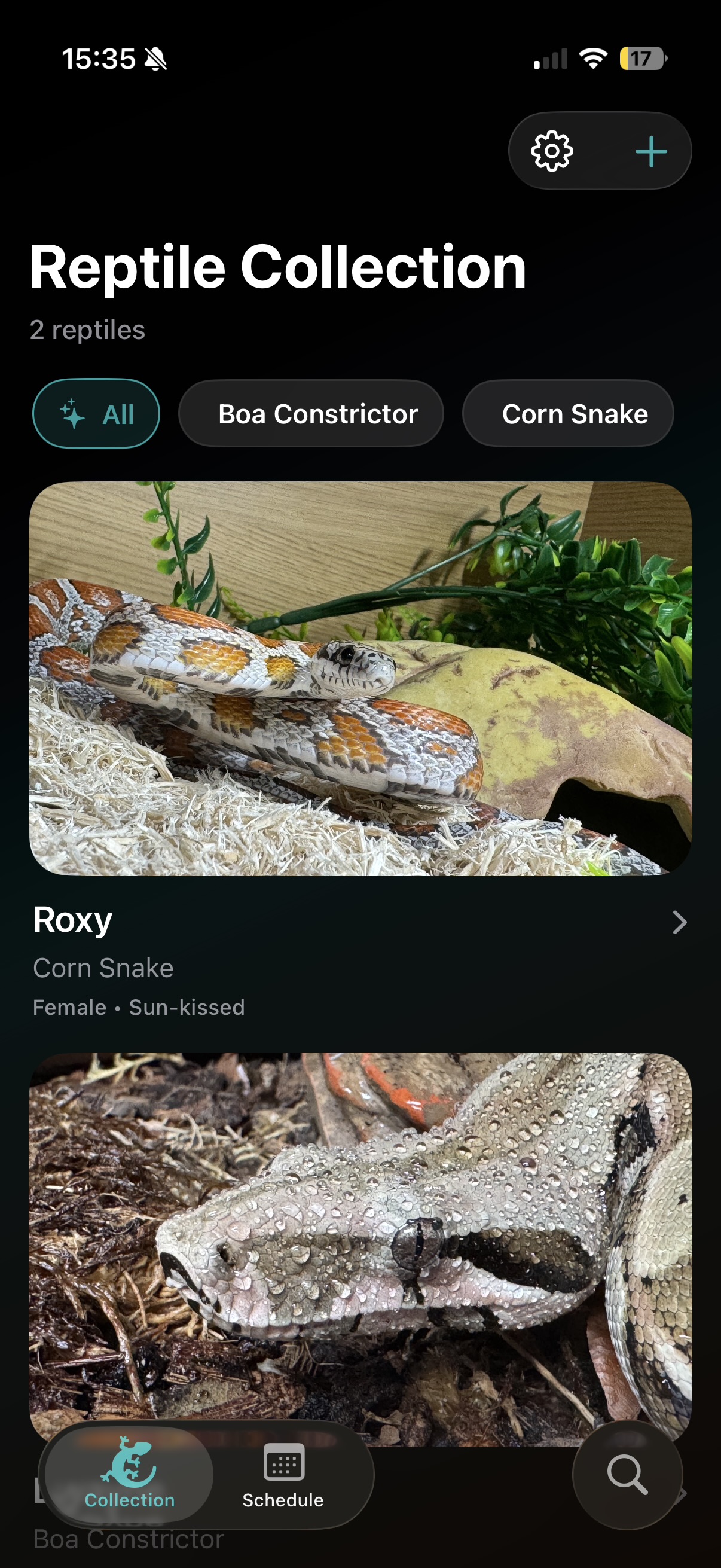 Browse Collection (dark mode)