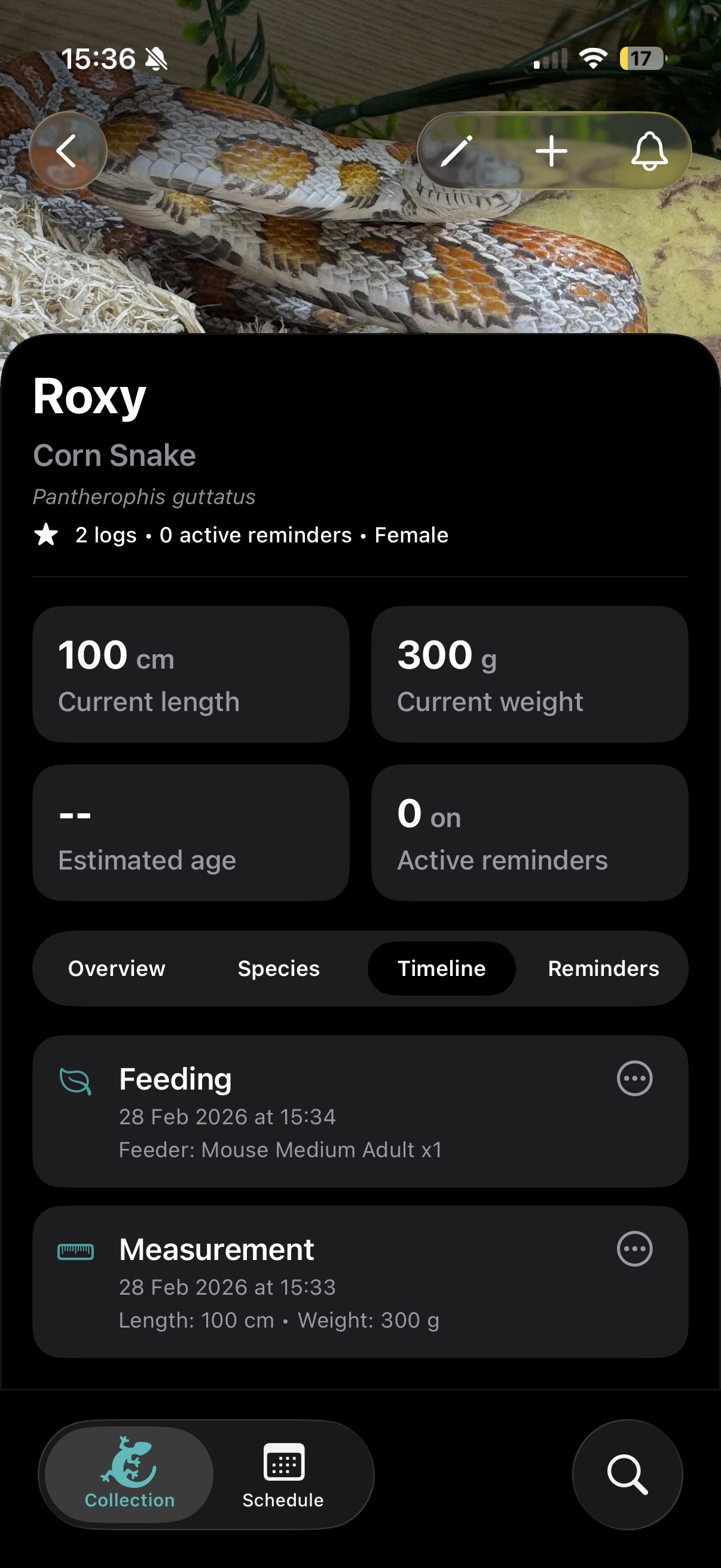 Reptile Profiles (dark mode)