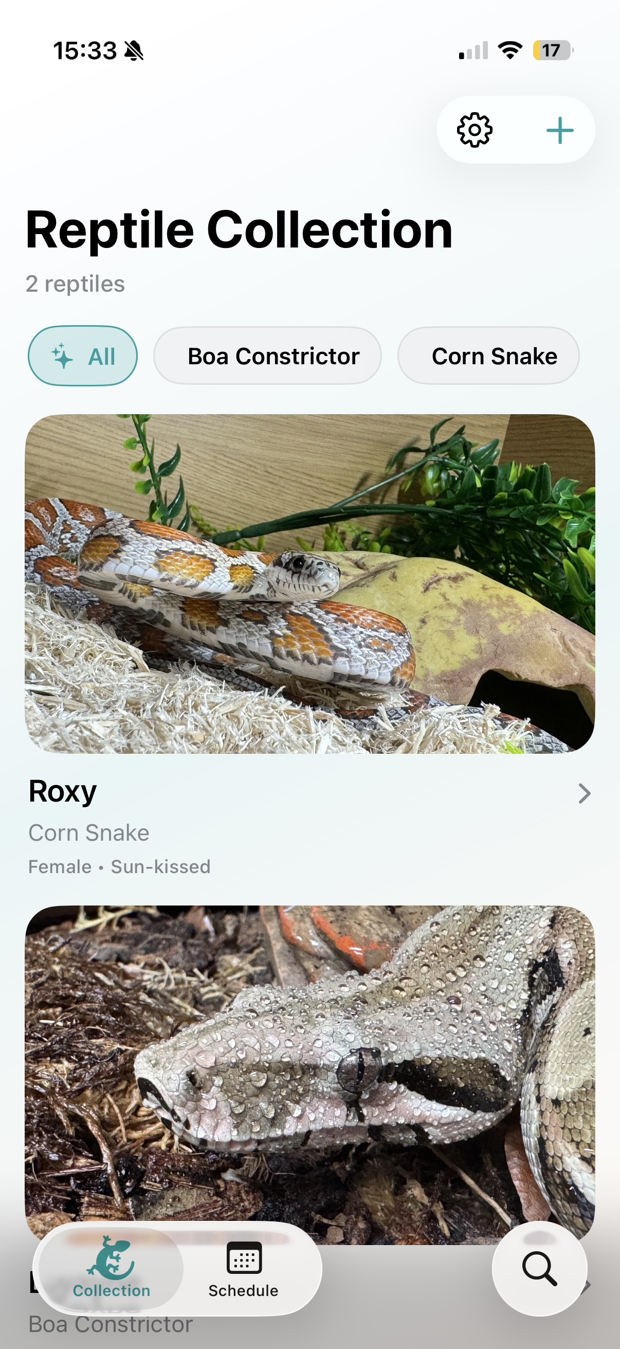 Browse Collection (light mode)