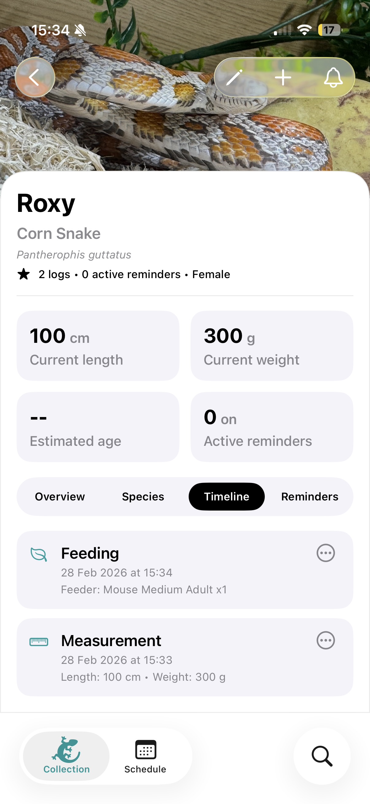 Activity log (light mode)
